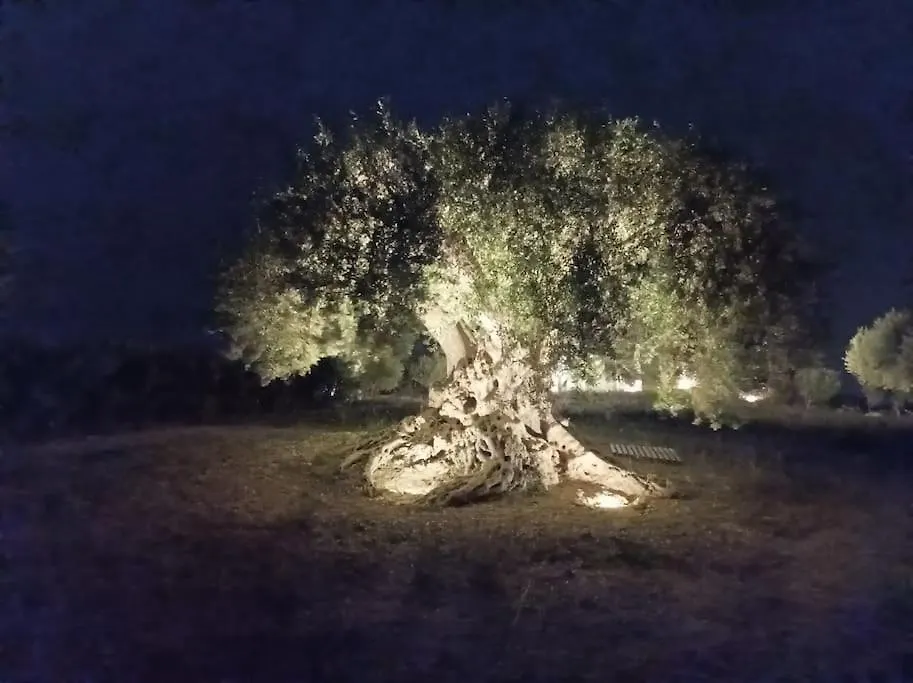 Holiday home Bimmisca Country House Noto